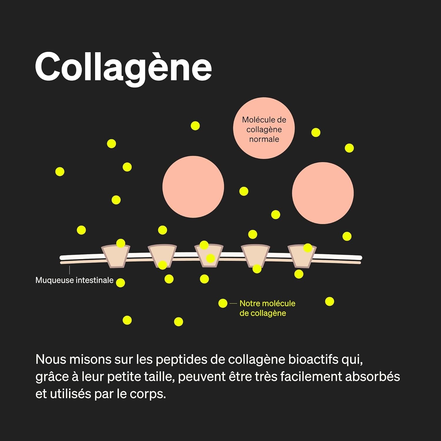 Collagene Et Acide Hyaluronique – 180 Gélules – Enrichi En Vitamine C, Biotine, Zinc & Sélénium – 1000Mg De Collagène – Testé En Laboratoire, Hautement Dosé & Sans Additifs
