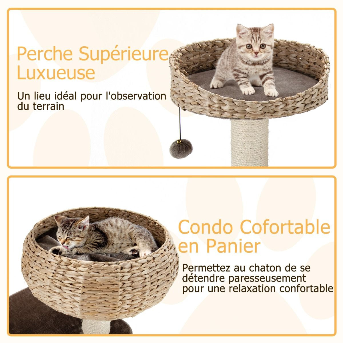 Arbre À Chat 45 X 45 X 104 CM Avec Pompon Suspendu Corde Et Griffoirs Enveloppés De Sisal Naturel Pour Chat/Chaton