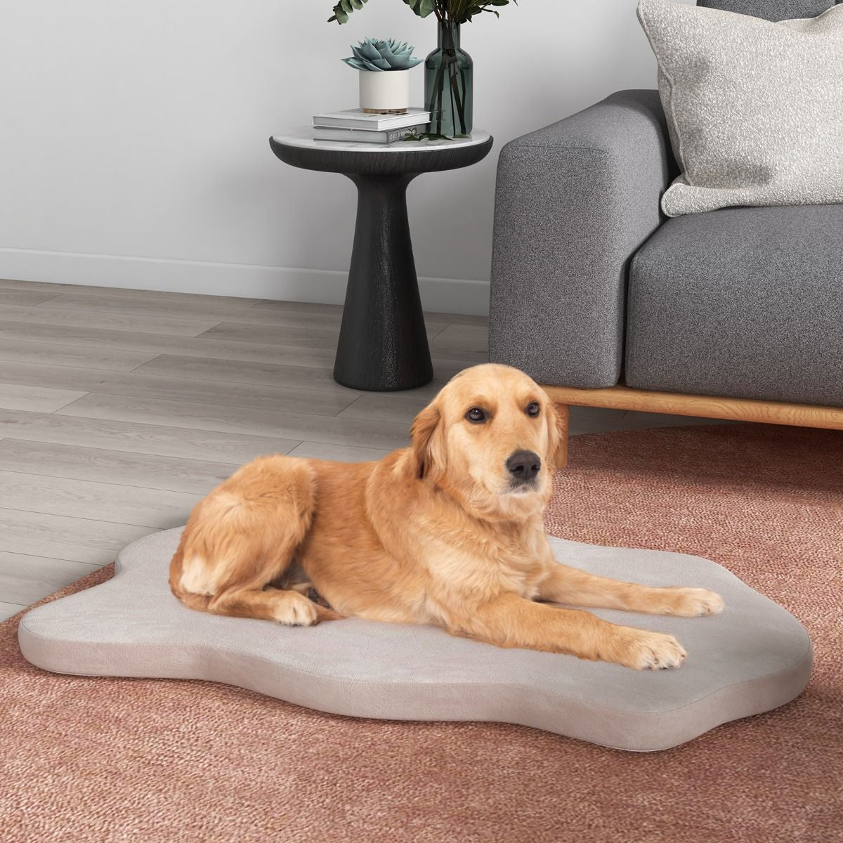 Grand Lit Pour Chien En Mousse À Mémoire Avec Housse Amovible Et Fond Antidérapant Coussin Orthopédique Pour Chien Beige
