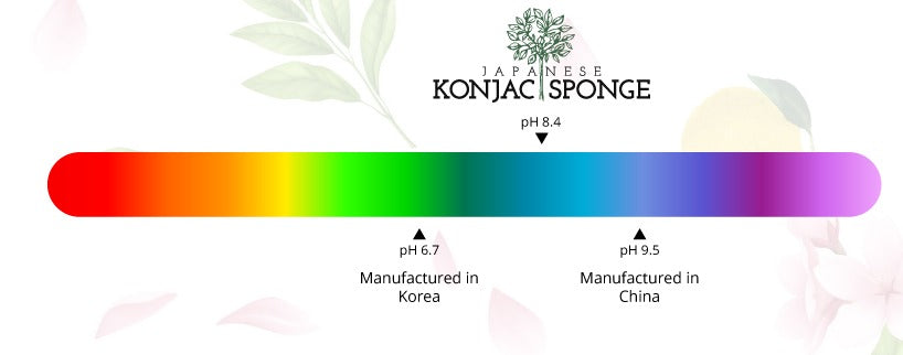 BabyKonjac – Éponge BIO ultra douce