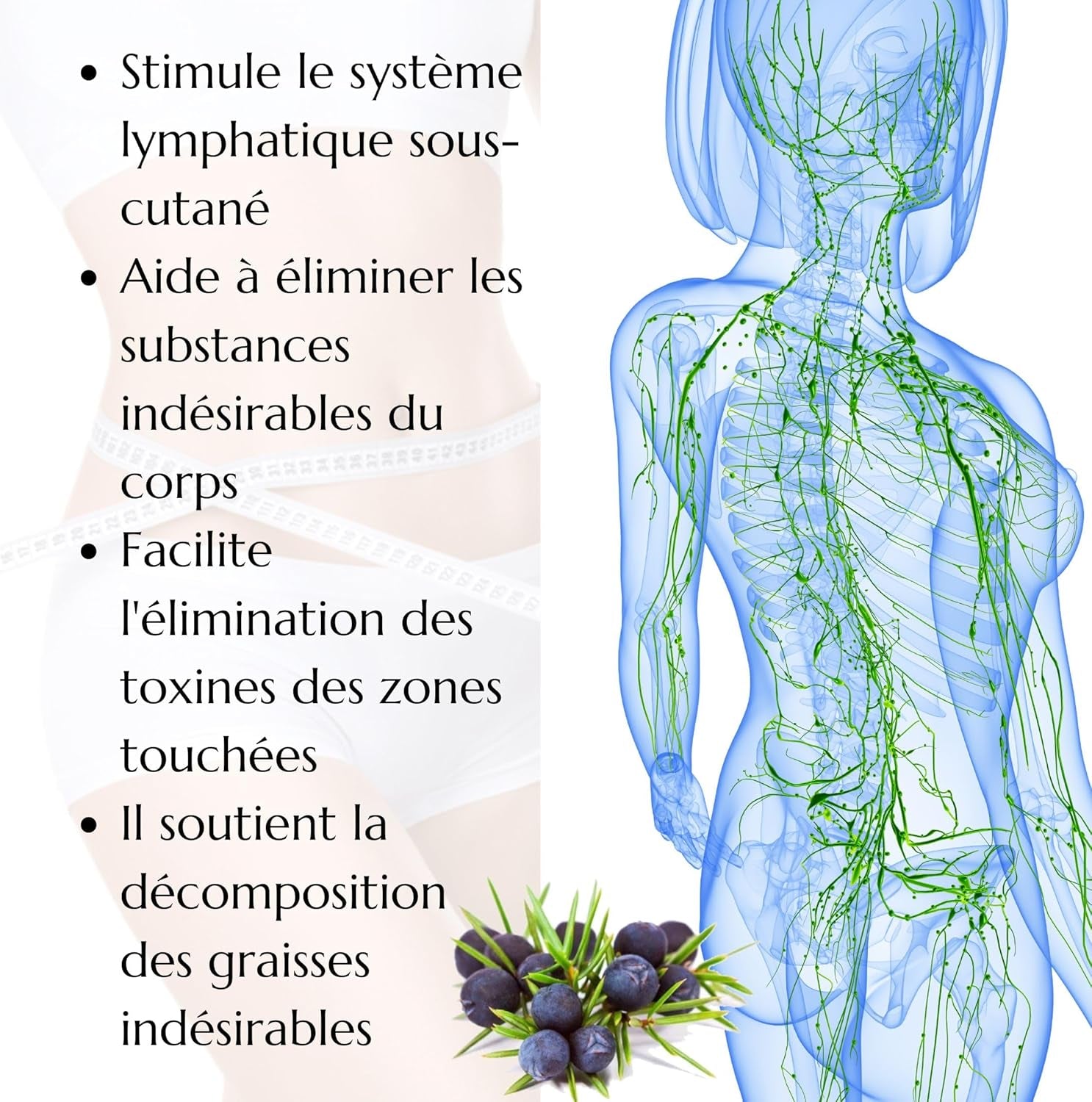 - Gel Lymforegen - Stimule Le Système Lymphatique Avec 15 Herbes Et Huiles Essentielles - Régénération Efficace - Favorise Le Drainage Lymphatique - Formule Active D'Herbes (200)