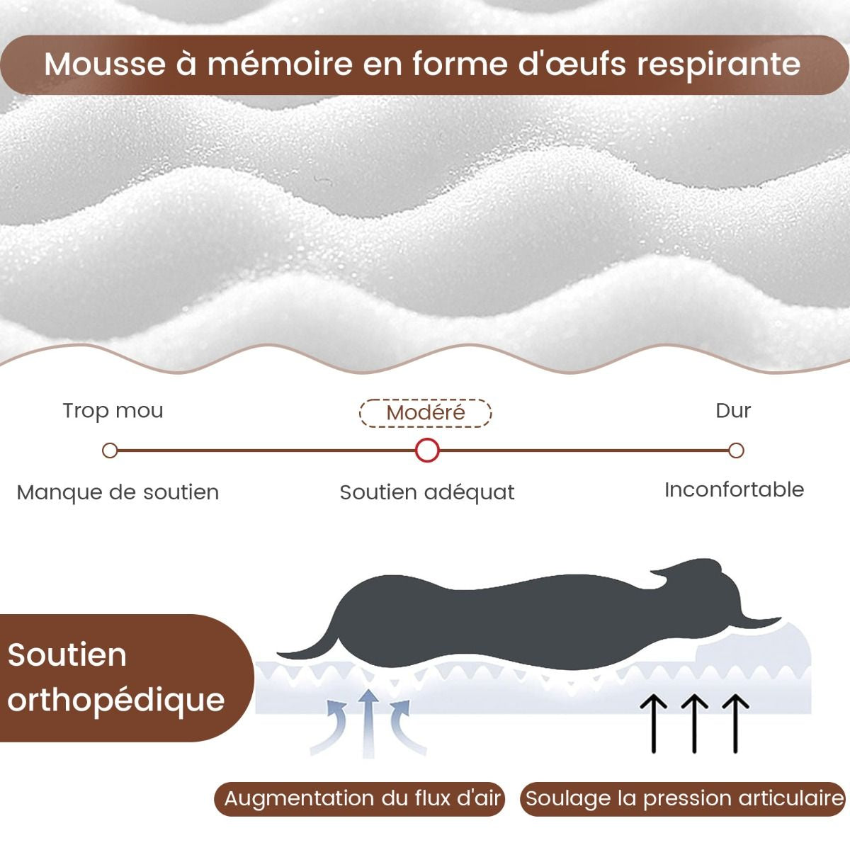 Grand Lit Pour Chien En Mousse À Mémoire Avec Housse Amovible Et Fond Antidérapant Coussin Orthopédique Pour Chien Beige