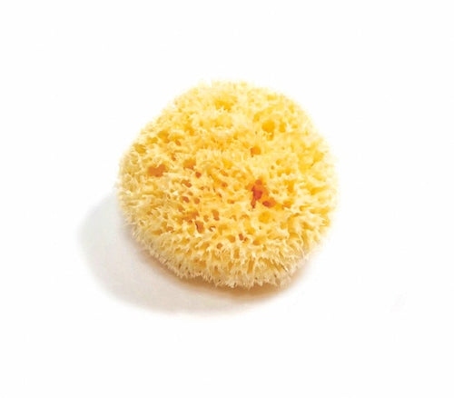 SeaGlow – Éponge de mer naturelle (3 variétés)