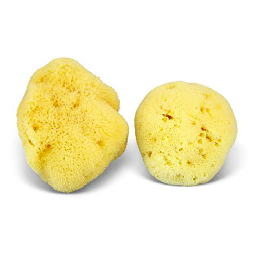 SeaGlow – Éponge de mer naturelle (3 variétés)