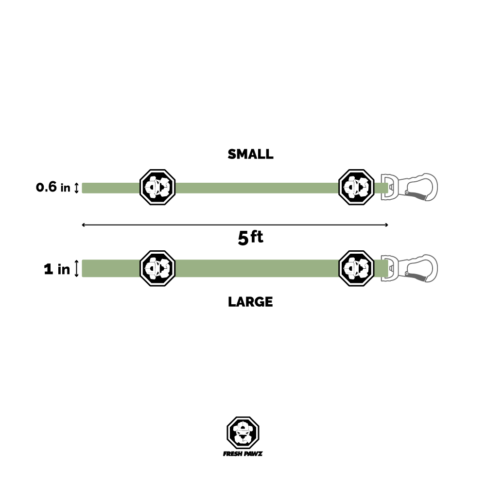 Laisse Kilo Cuban 14K – Puissance & Luxe Pour Grands Chiens