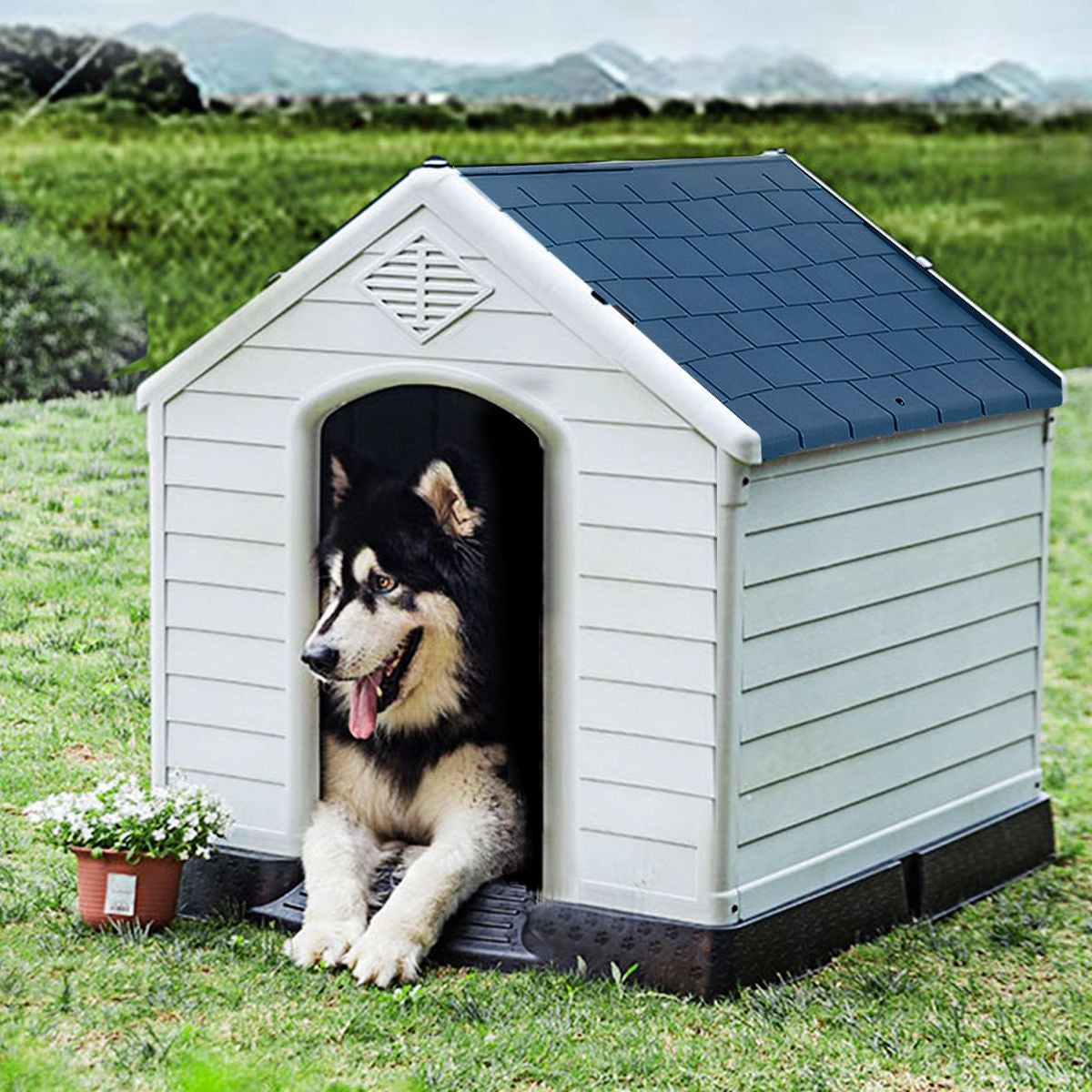 Niche Pour Chien En PP Avec Toit Bleu+Blanc Imperméable Et Ventilé-Bouche D’Aération Et Plancher Surélever 70X65X71,5Cm Taill S/M