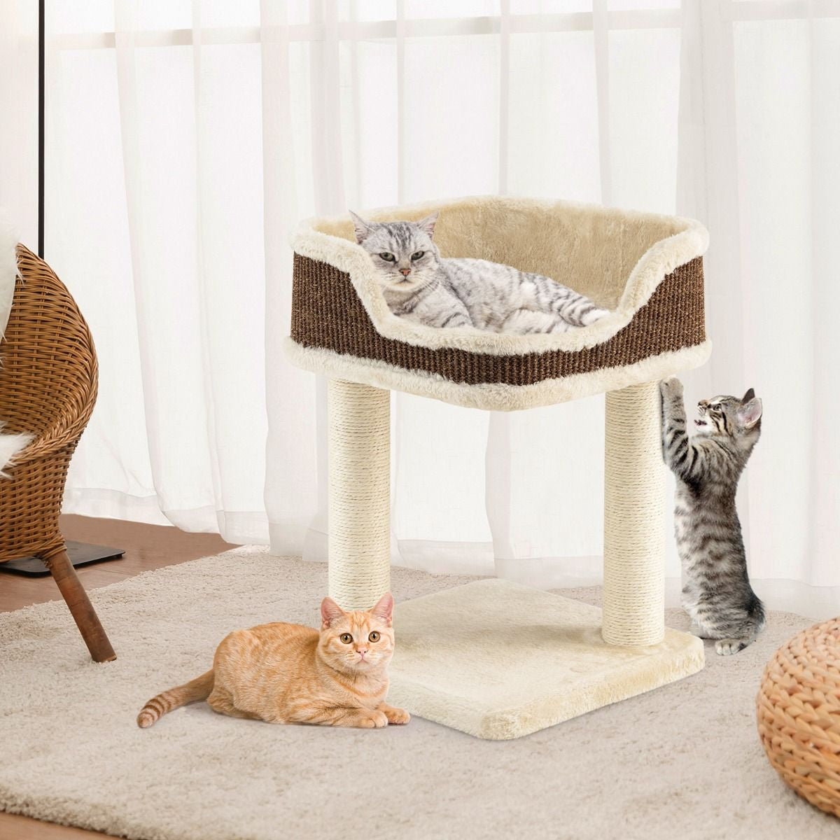 Tour D'Arbre À Chat Compacte Avec Perchoir En Peluche Et Griffoirs Pour Se Faire Ses Griffes Gris/Beige