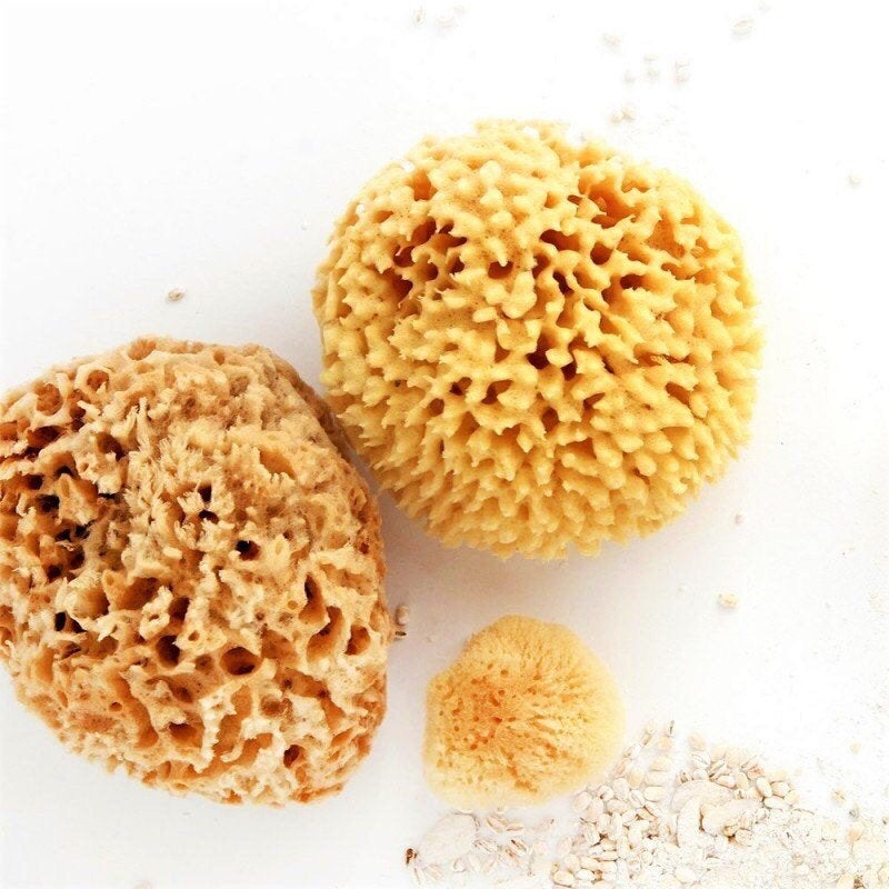 SeaGlow – Éponge de mer naturelle (3 variétés)